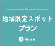 地域限定スポットプラン