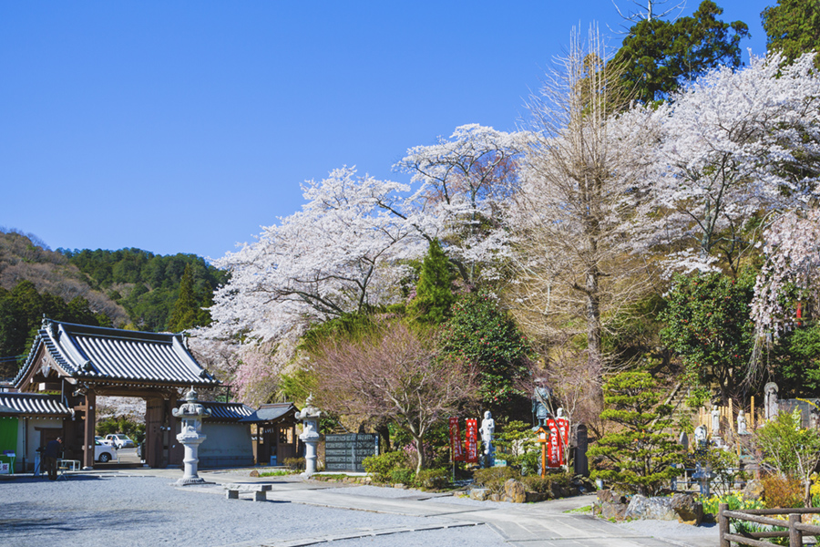 太山寺