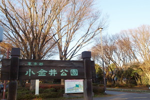 小金井公園