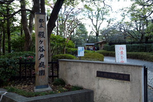 殿ヶ谷戸庭園