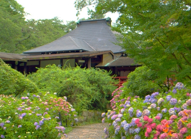 本土寺 - 松戸市（千葉県）