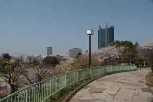 西郷山公園 -目黒区（東京都）