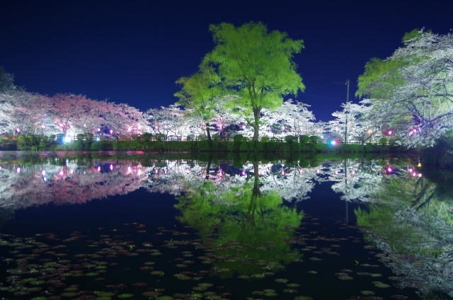茂原公園 - 茂原市(千葉県)