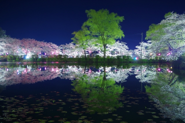 茂原公園 - 茂原市（千葉県）