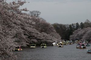 井の頭公園 -武蔵野市(東京都)