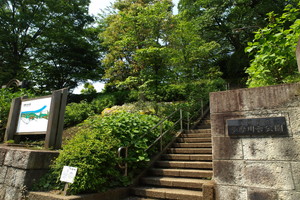 多摩川台公園 - 大田区（東京都）