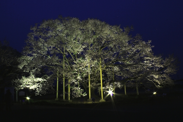 天平の丘公園 -下野市(栃木県)