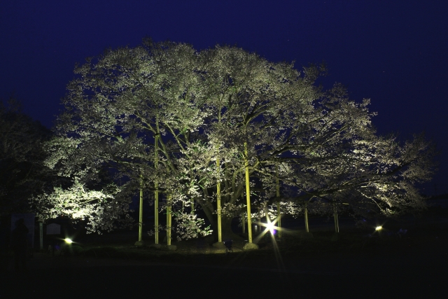 天平の丘公園 -下野市（栃木県）