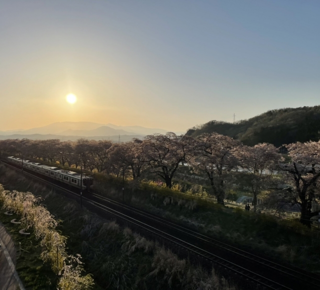 千本桜