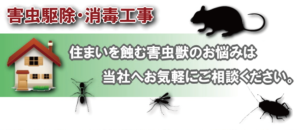 住まいを蝕む害虫駆除は当社へご相談ください